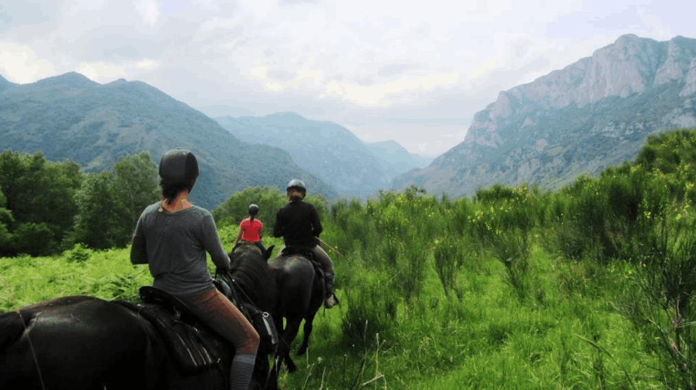 Mobirise